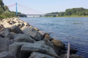 Tödliche Ignoranz – der Rhein sollte für Schwimmer tabu sein