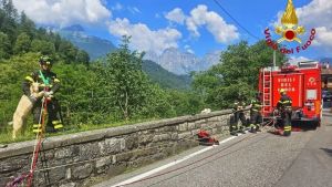 Agordo, i vigili del fuoco salvano un capretto caduto in un dirupo