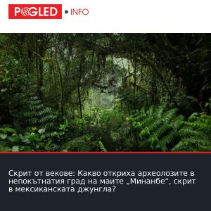 Скрит от векове: Какво откриха археолозите в непокътнатия град на маите „Минанбе“, скрит в мексиканската джунгла?