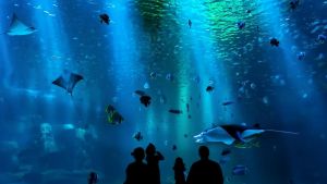Il caldo si combatte con la cultura: da luglio a settembre visite guidate gratuite nei musei per gli over 65