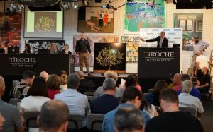 Rare works by Israeli artists Rubin, Gutman head to auction valued at $300,000
