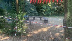Livorno, paura alle scuole Dal Borro: ramo di ligustro si schianta su un annesso agricolo