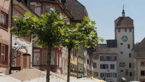 Noch sind ihre Krönchen licht, doch welchen Effekt haben die mobilen Bäume in der Kaiserstraße?