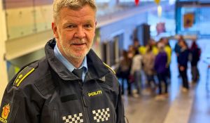 Voksne gjør den viktigste forskjellen i sommer