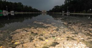 3. To understand Trump, look into the filthy waters of Washington’s reflecting pool