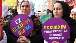Anadili Kürtçe olan aday meselesi