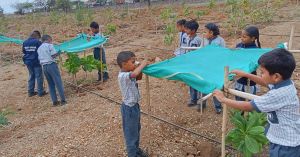 How Pune Students Took Soil Testing Beyond the Classroom to Help Farmers
