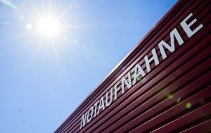 Hitzewelle und Klimakollaps – tut was!