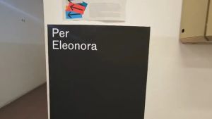 Eleonora Bigon morta a 22 anni, il ricordo dello Iuav: 