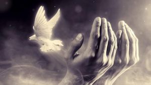 Reclaiming The True Meaning Of Peace – OpEd