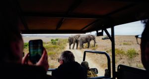 Forget the zoo, these 8 hotels bring you face-to-face with the genuinely wild