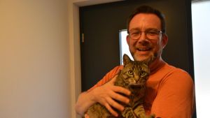 Meersburg erlässt Katzenschutzverordnung, um Leid von Streunern zu mildern