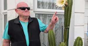 Stubborn cactus finally flowers after 25 years by seafront