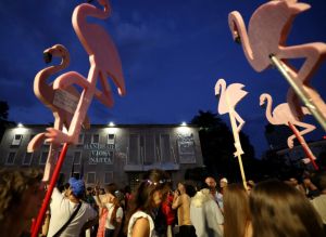 « Il faut construire un mouvement » : En Albanie, la révolution des flamants roses n’a pas dit son dernier mot