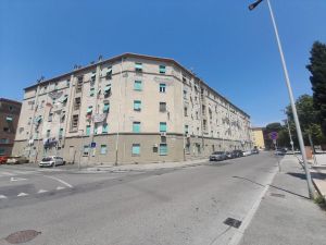 Livorno, occupano una casa popolare di Shangai che si è appena liberata