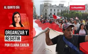 Organizar y resistir, por Eliana Carlín