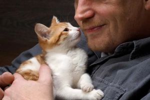 Man’s inability to control himself over his new kitten’s cuteness is beyond relatable