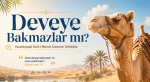 DEVEYE BAKMAZLAR MI?