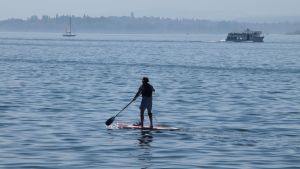 Tourismus am Bodensee: Podiumsdiskussion Live im Luv zu dem Thema am 20. Juli