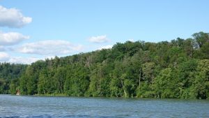 Vier Badeunfälle an Schweizer Flüssen an einem Wochenende: Ein Schwimmer stirbt, zwei werden vermisst