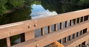 When Doggedness Doesn't Work, Is It Time to Give Up?
