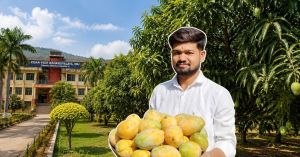 This College in Maharashtra Grows Mangoes That Pay for Its Students' Degrees