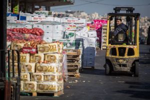 Jerusalem’s surplus produce goes to waste. An upstart NGO seeks to fix the system