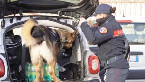 Droga a Firenze, dalla cannabis alla ketamina: numeri choc, è la città dello ‘sballo’