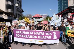 Neden yaşatan yasa istiyoruz?