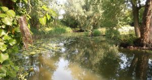 Plans for 'major' development set for go ahead despite fears for nature reserve