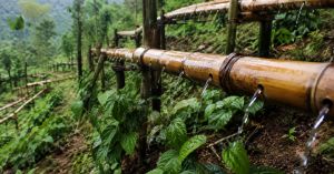In Meghalaya, Farmers Rely on a 200-Year-Old Bamboo System That Defies Gravity to Bring Water Up Hills