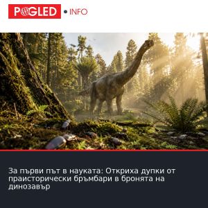 За първи път в науката: Откриха дупки от праисторически бръмбари в бронята на динозавър