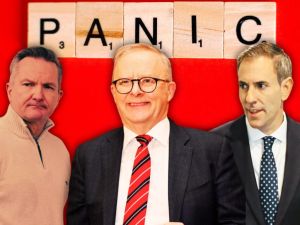 ‘Basket case’: Hadley slams incompetent Albanese government