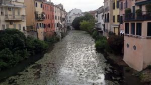 Siccità, a Padova è come nel 2022: «L’acqua nei canali scende a vista d’occhio»