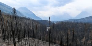 Legislating for resilience is the next frontier of disaster risk reduction