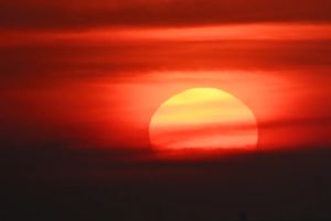 Feel the heat. We are living in the future we were warned of