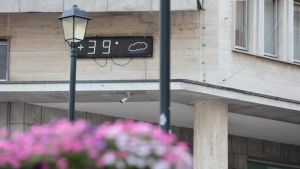 Caldo, picchi di arrivi al Pronto soccorso di Gorizia: «Pieni anche i corridoi»