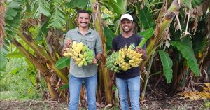 Friends' Zero-Commission Online Market Helps Farmers Double Their Income Minus Middlemen