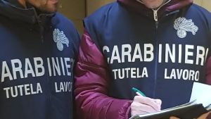 Controlli in un allevamento avicolo nell'udinese, denunciata un'imprenditrice: multa da 9 mila euro
