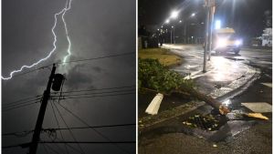 Temporale e tempesta di fulmini a Bologna, danni e disagi. Blackout, la Curia ancora senza luce