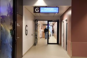 Det er rom for endringer og forbedringer i måten helseforetakene er organisert på