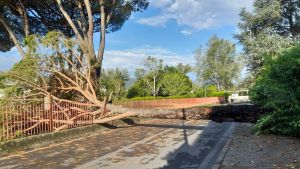Nubifragio su Lucca, qui il temporale ha colpito più forte: 76 mm di pioggia in un’ora /