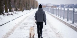 The Nordic Paradox: even the world’s most equal countries are failing to reduce violence against women