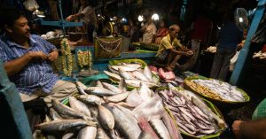 Hilsa: The Fish That Survived Partition and Lives in Bengali Memory