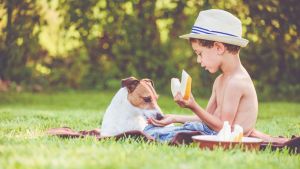 Dürfen Hunde Honigmelone fressen?