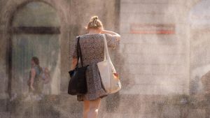 Klimaamnesie: 41,7 Grad und nichts gelernt