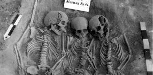 Prehistoric plague could have caused population collapse in stone age Europe