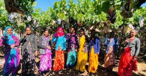 A ‘Matchmaker’ Platform Boosts Farm Worker Incomes From Rs 6K to Rs 20K per Month in Nashik