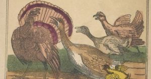 The Contagion of Worry: A Tale of Collective Anxiety