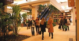 Como está ocorrendo em ritmo acelerado a reinvenção dos shoppings